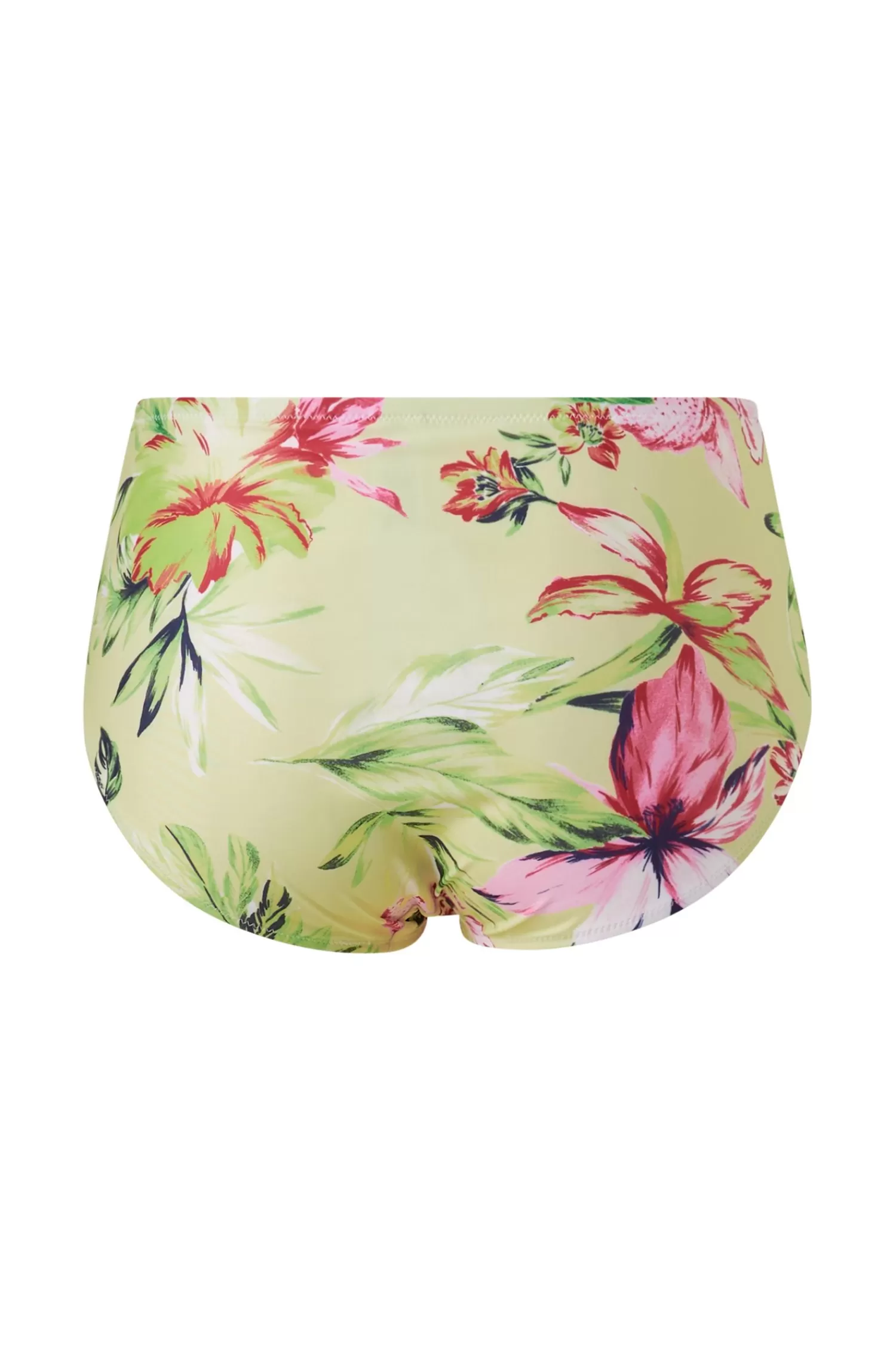 Dam Only Carmakoma Bikinitrosor Carsophia High-Waisted Brief