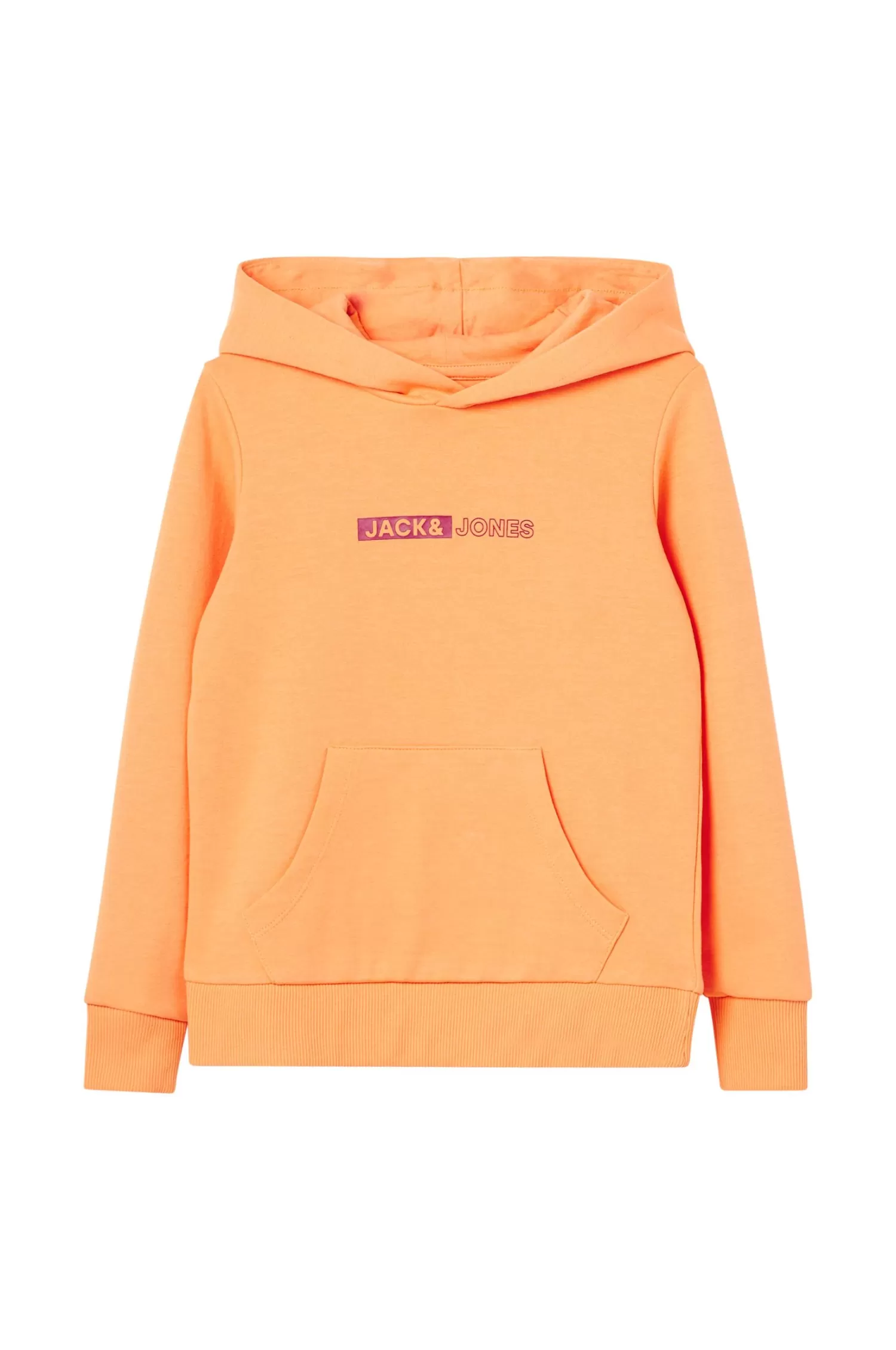 Jack & Jones Huvtroja Jjneo Sweat Hood Best