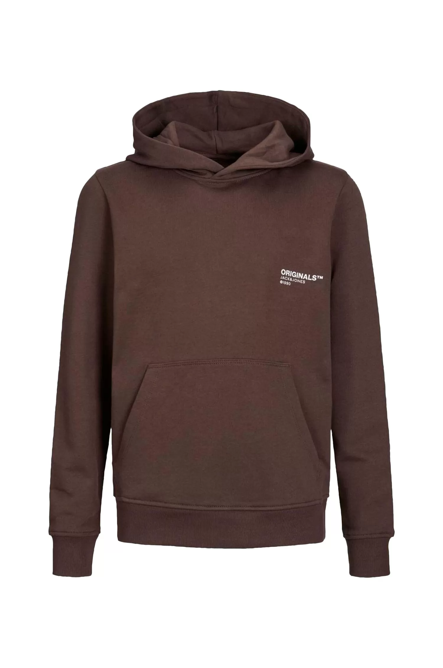 Jack & Jones Huvtroja Jorclean Sweat Hood Jnr Fashion