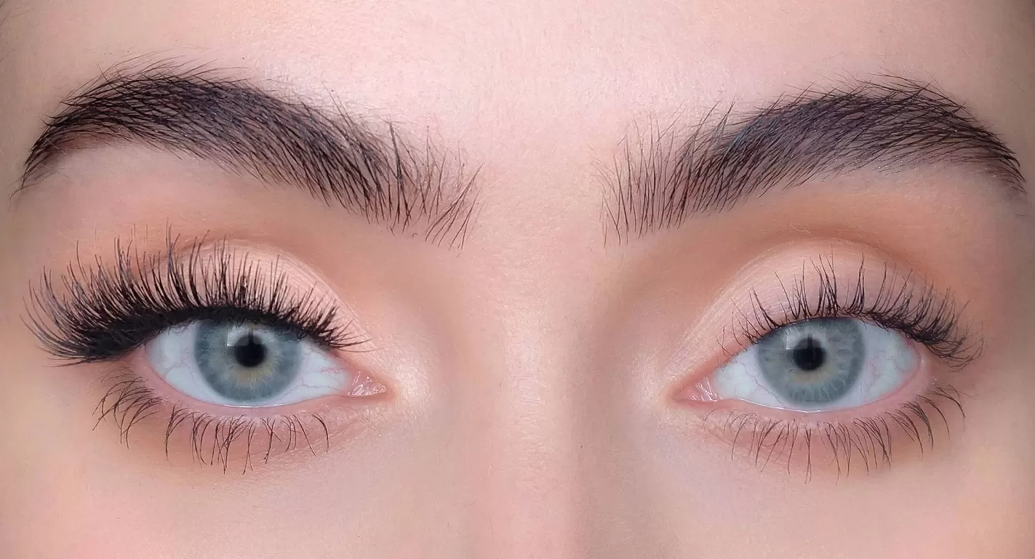 Sweed Lashes Terryfic 3D