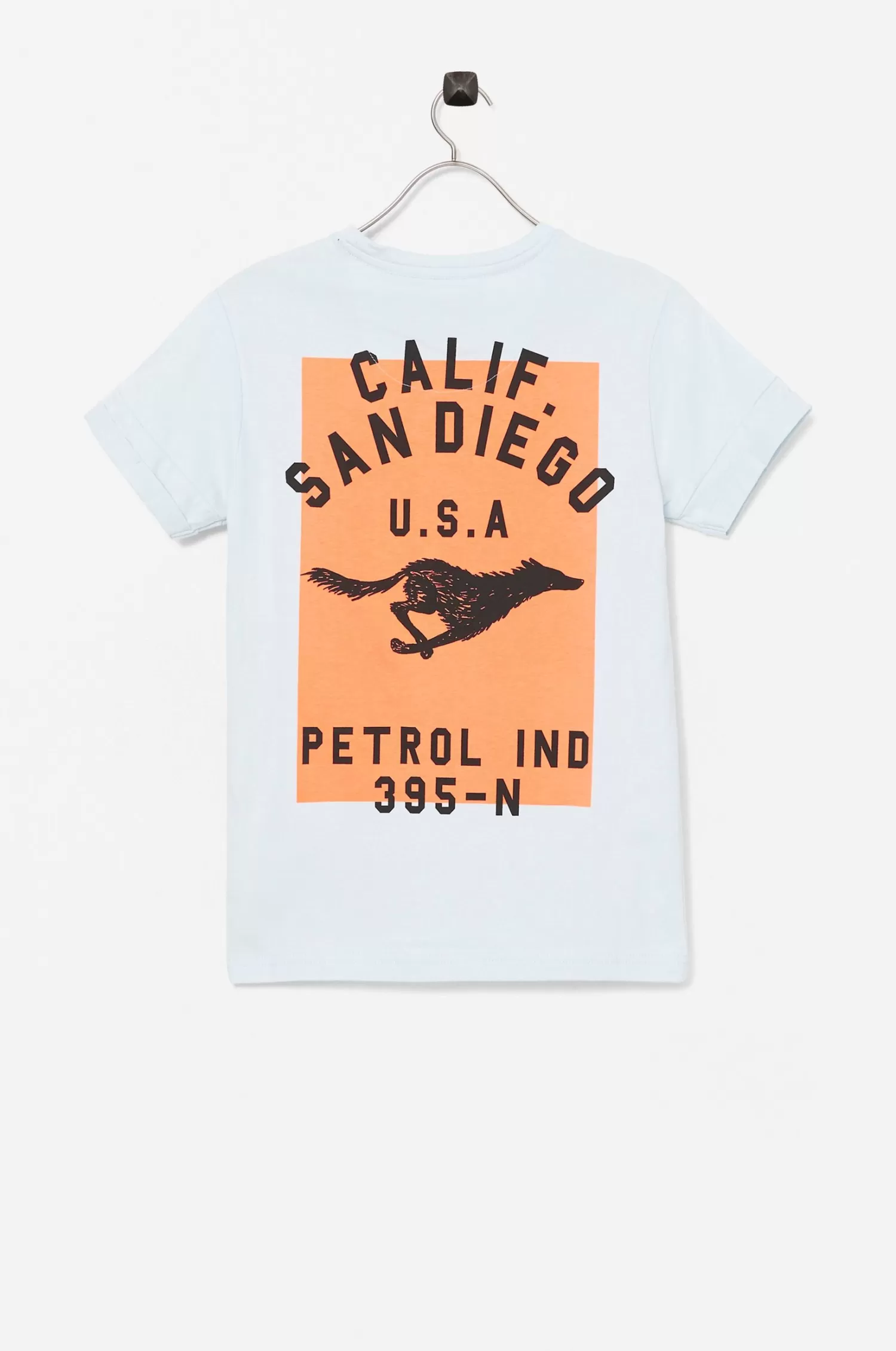 Petrol T-Shirt Ss R-Neck Fashion